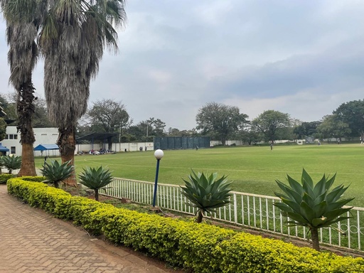 Cricket